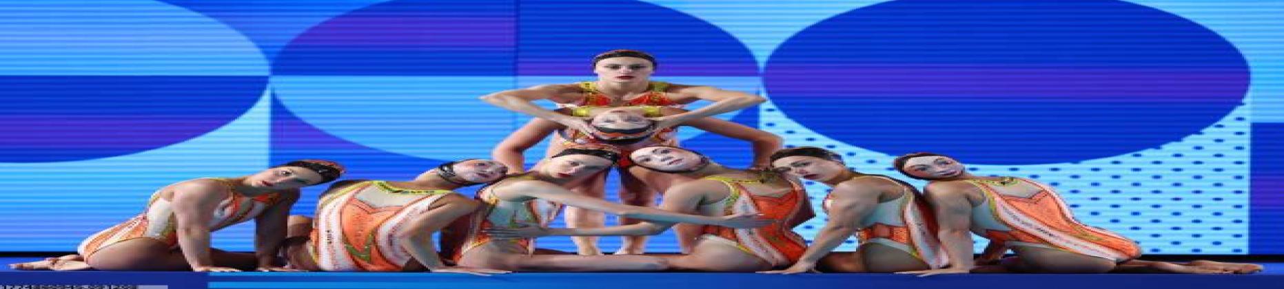 猫先生MRCAT简介